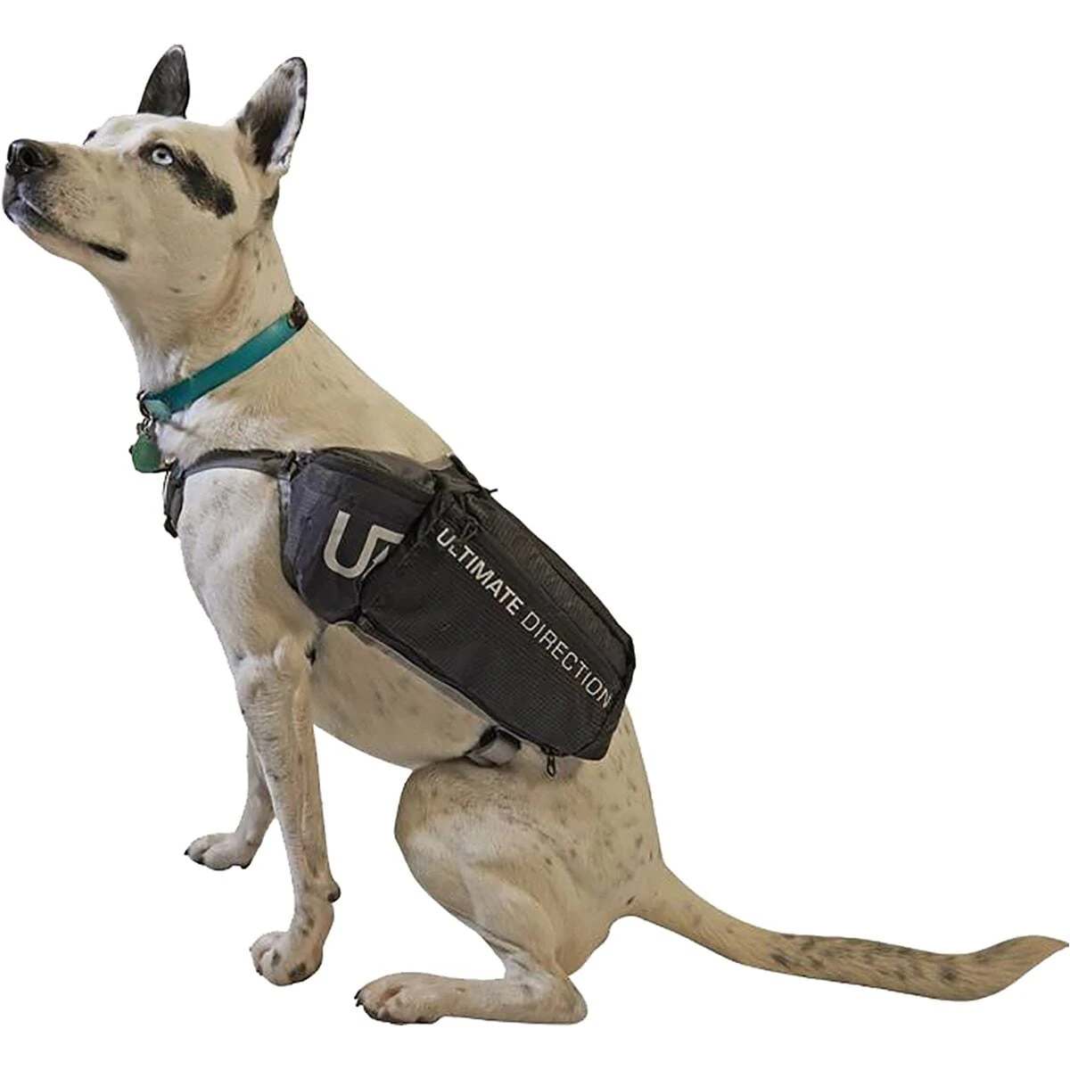 Ultimate Direction Dog Vest - Image 4