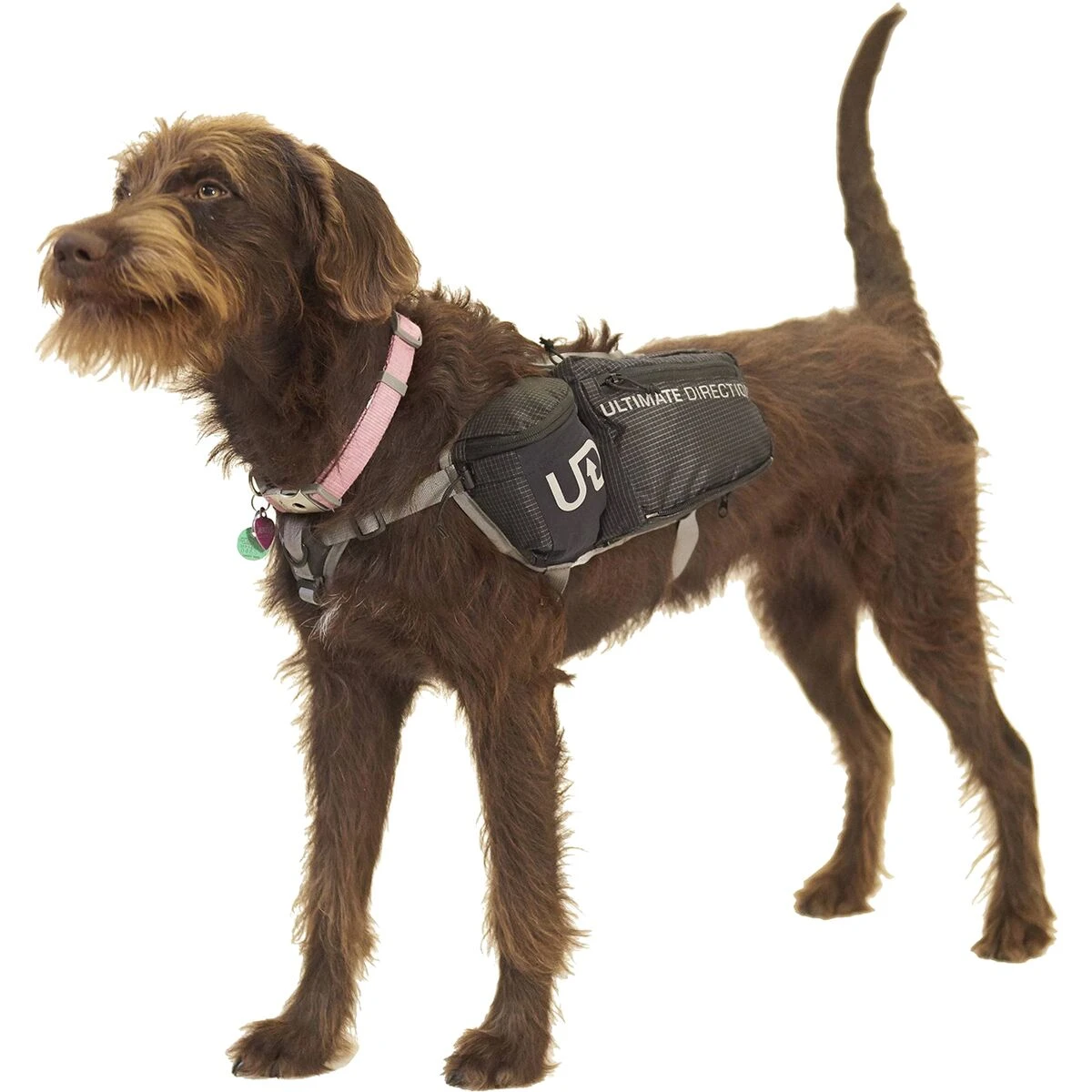Ultimate Direction Dog Vest - Image 9