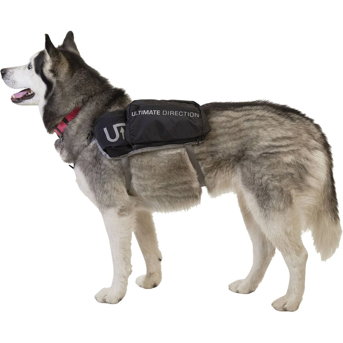 Ultimate Direction Dog Vest - Image 3