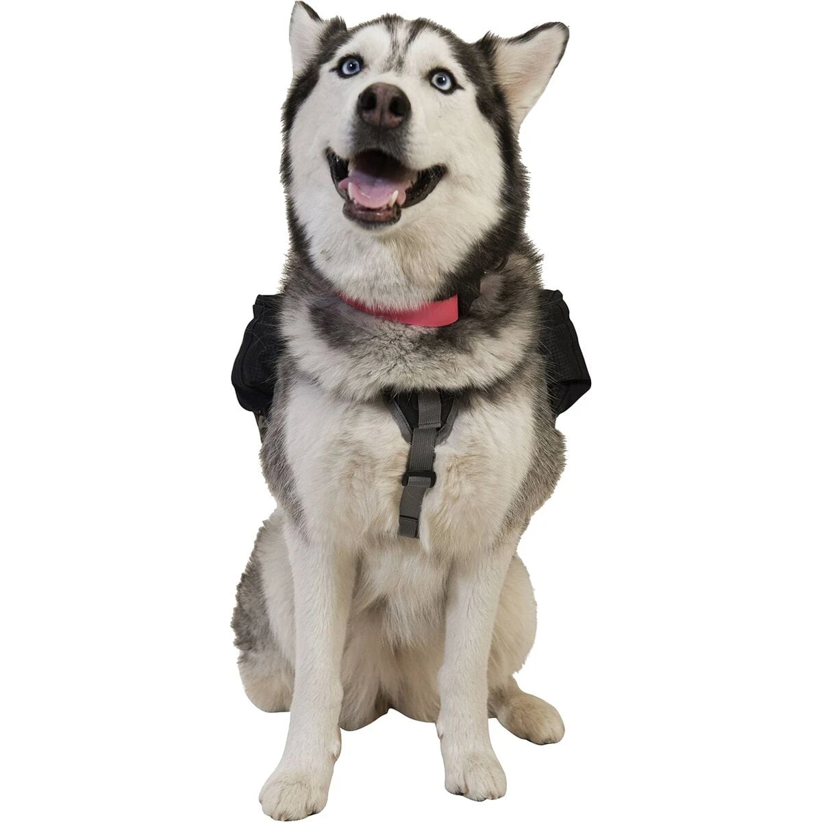 Ultimate Direction Dog Vest - Image 10