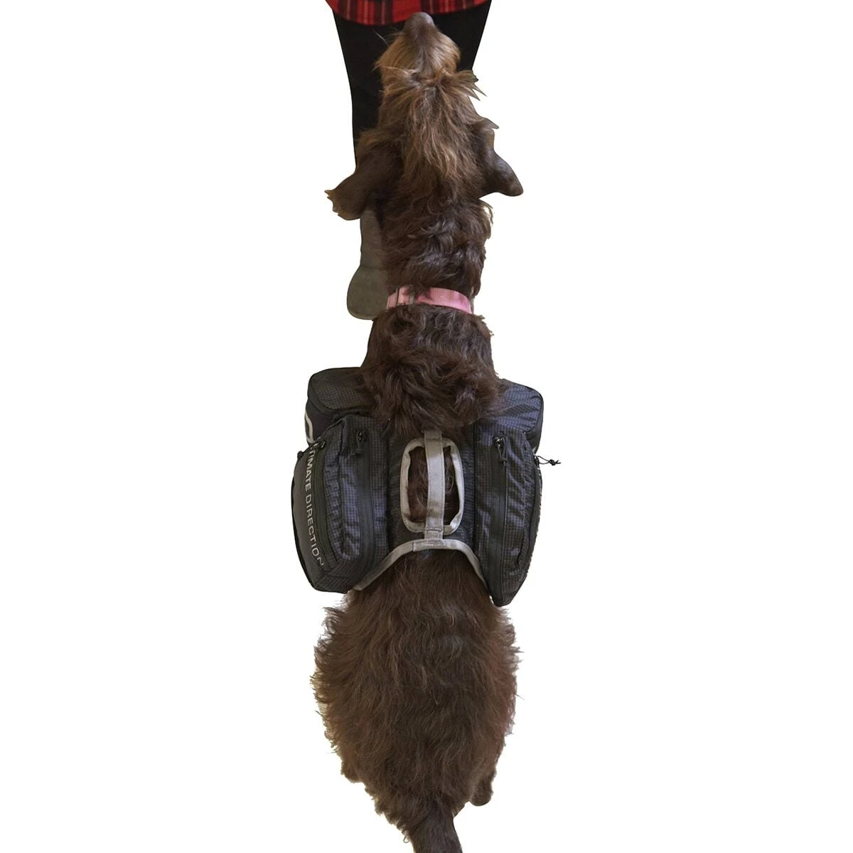 Ultimate Direction Dog Vest - Image 2