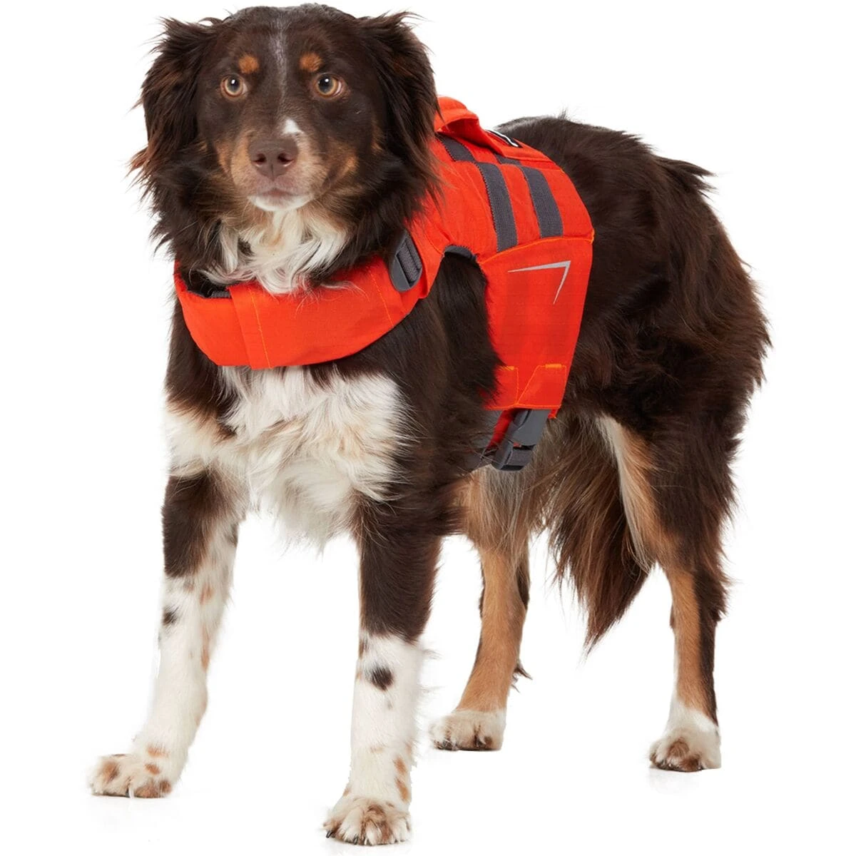 NRS Canine Flotation Device - Image 2