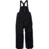 Boxwood 3L Bib Pant - Men's