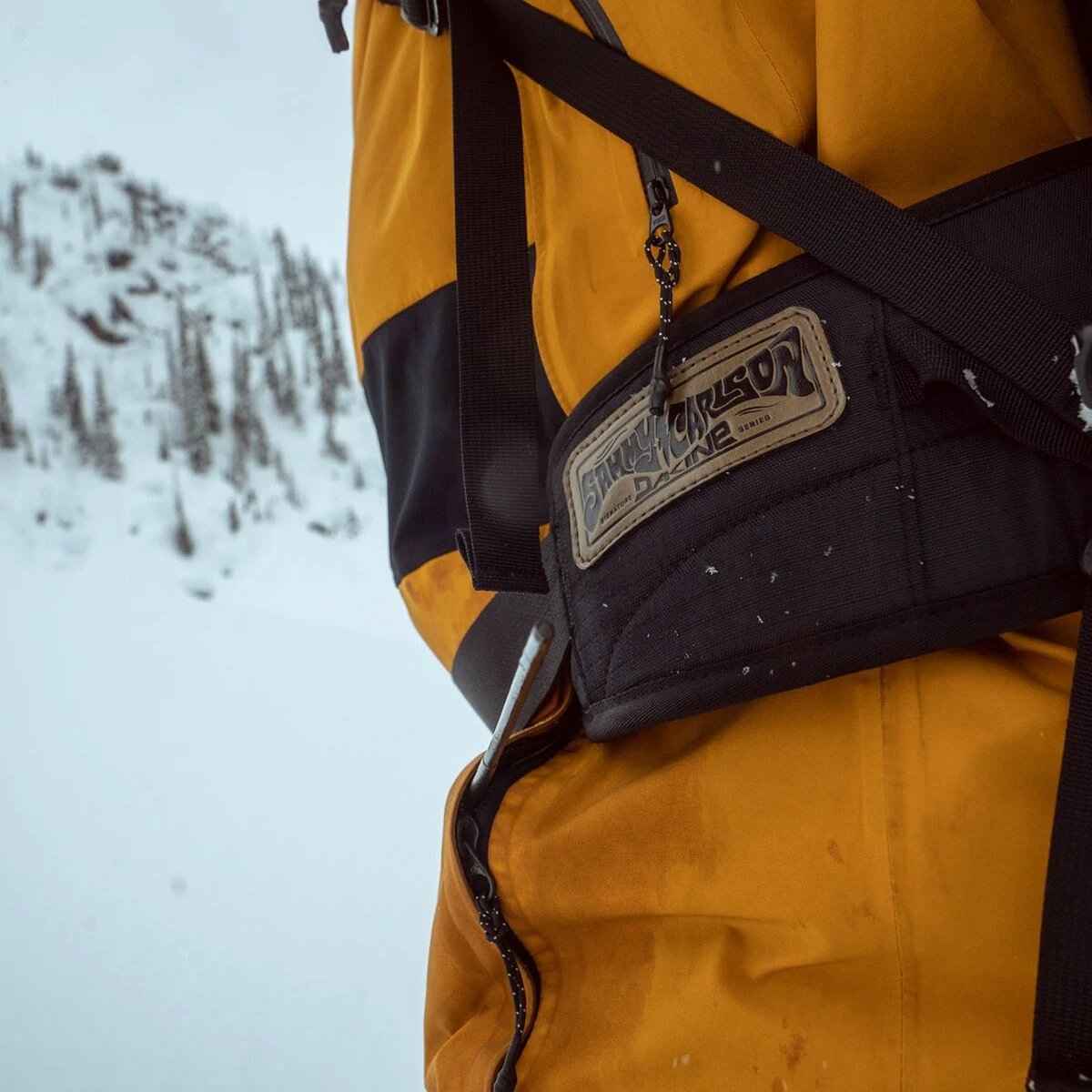 Dakine Team Poacher RAS 26L Backpack